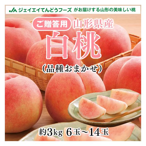 贈答用 秀品 山形県産　白桃 品種おまかせ 約3kg 6〜14玉ギフト 送料無料※一部地域は別途送料 8月上旬ころより順次出荷 pc13
