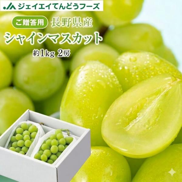お中元 ギフト 夏 ぶどう シャインマスカット  約1kg(500g×2房) 長野県産 秀品 葡萄 贈答 爆買 h08