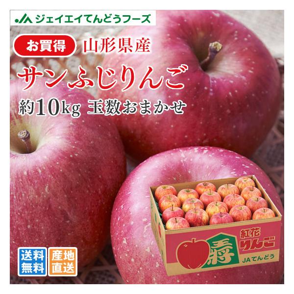 お買得 りんご ○秀品 山形県産 サンふじ 約10kg リンゴ 林檎 (一部
