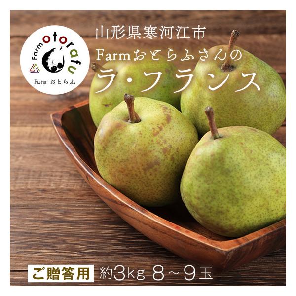 YҌ胉tX3kg(8`9) Mtg  R`͍]Y m ̂Ή BEEꕔ