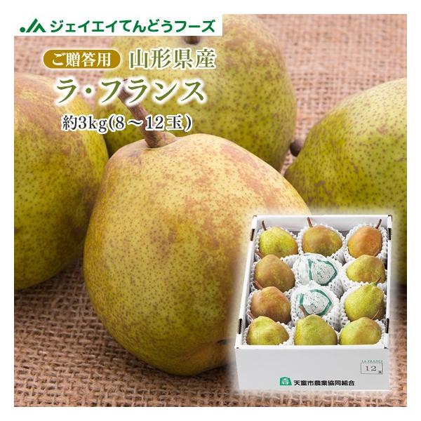 Mtg R`Y EtX 3kg tX mȂ m Ε Ε  (ꕔnʓr) 11{菇o rf19