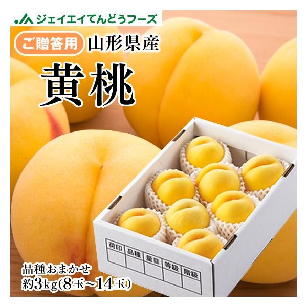 ギフ 山形県産 黄桃 約3kg (8〜14玉) 桃 品種おまかせ 秀品 ※8月下旬