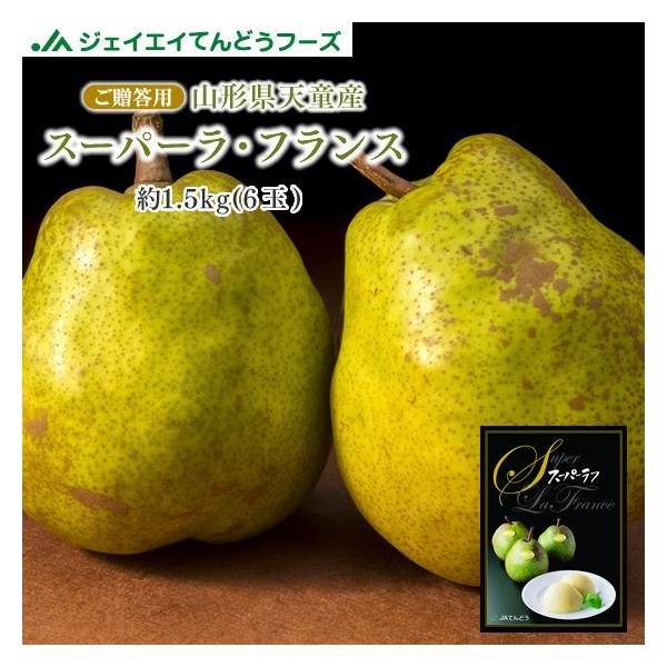 t[c Mtg 󏭕i R`VY X[p[ EtX 1.5kg tX mȂ m  (ꕔnʓr) rf13 