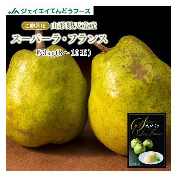 Mtg 󏭕i R`VY X[p[ EtX 3kg tX mȂ m Ε Ε  (ꕔnʓr) 11{菇o rf15