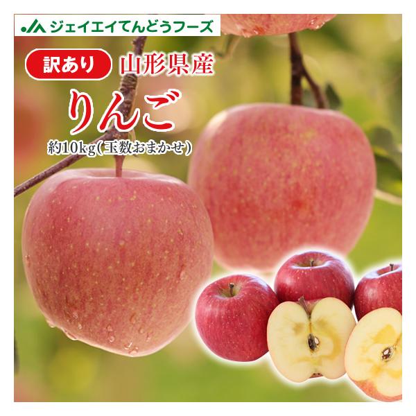 りんご 訳あり 品種おまかせ 約10kg リンゴ ご自宅用 山形県産 林檎 山形 (一部地域別途送料) ap13 :w-ringo2:JAてんどうフーズ うまいもの通販 - 通販 - Yahoo!ショッピング りんご 訳あり 品種おまかせ 約10kg リンゴ ご自宅用 山形県産 林檎 山形 (一部地域別途送料) ap13 :w-ringo2:JAてんどうフーズ うまいもの通販 - 通販 - Yahoo!ショッピング