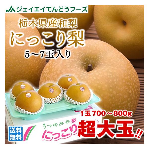 ギフト 栃木県産 にっこり梨 超大玉 和梨 秀品 秋の味覚 wn10 : JAてん