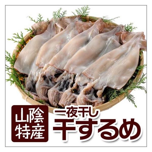  CJ XCJ 銱  RA {C Ɍ Y 5