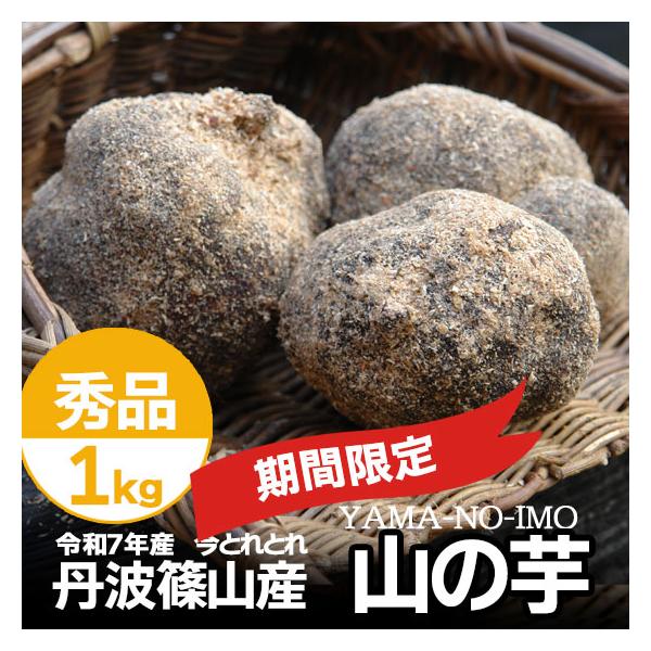 中は真っ白できめ細やか。粘りが大変強いのに加え、良質なタンパク質に富むことから、滋養強壮に良いともされています。生産者も少なくなってきていることや、丸々とした芋を作るのにも高い技術が必要な為、貴重な芋です。お歳暮■内容量：秀品 1kg■産地...