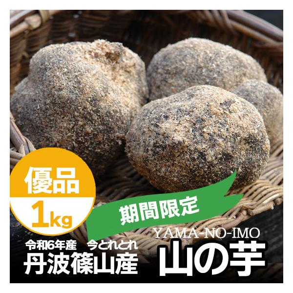 中は真っ白できめ細やか。粘りが大変強いのに加え、良質なタンパク質に富むことから、滋養強壮に良いともされています。生産者も少なくなってきていることや、丸々とした芋を作るのにも高い技術が必要な為、貴重な芋です。■収穫年：令和7年12月■内容量：...