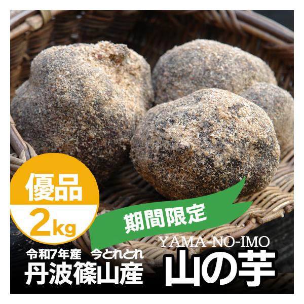 中は真っ白できめ細やか。粘りが大変強いのに加え、良質なタンパク質に富むことから、滋養強壮に良いともされています。生産者も少なくなってきていることや、丸々とした芋を作るのにも高い技術が必要な為、貴重な芋です。■内容量：優品 2kg■産地：本場...