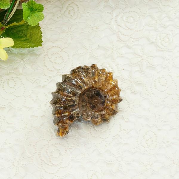 AiCg 44g CeAXg[ u VR p[Xg[