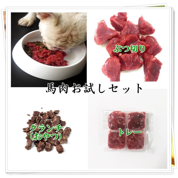 【送料無料】ペット用馬肉　生食お試しセット3品　2026　◎初回限定　／ペットフード