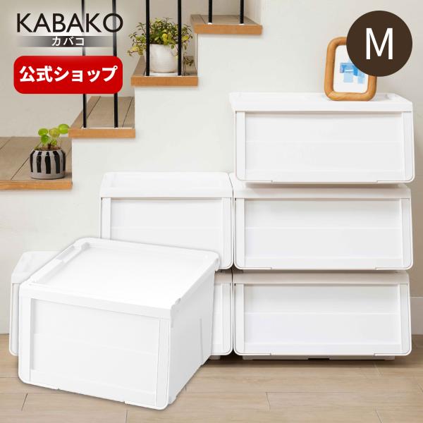保守主義の精神 上下セット 天馬 【8/3日0:00〜23:59 全品15％OFFクーポン】収納ケース
