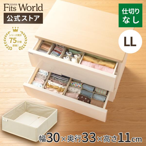 天馬 【4/27日0:00〜23:59 全品15%OFFクーポン】収納ケース 天馬 【4/27日0:00〜23:59 全品15%OFFクーポン】収納ケース