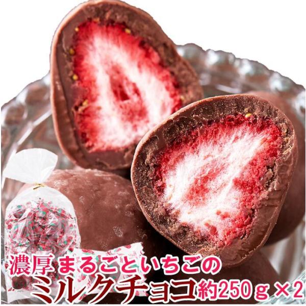 Z܂邲Ƃ̃~N`R 250g×2 `R[g `R  َq C`S  