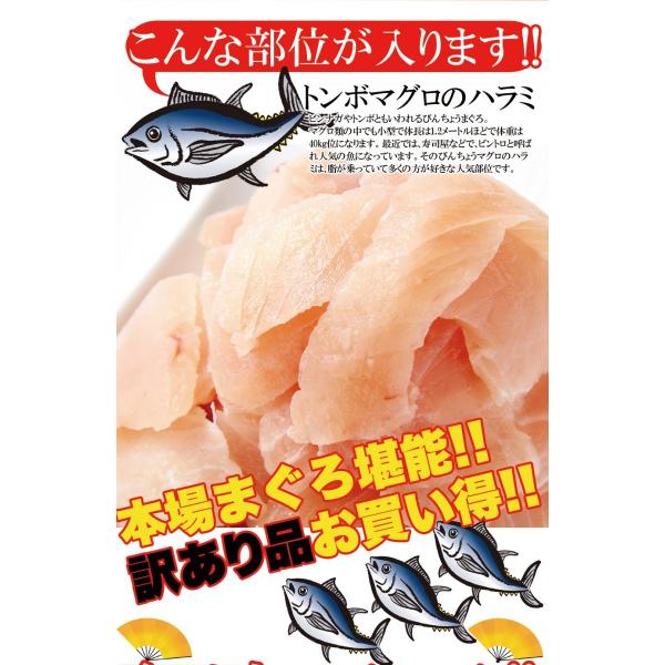 トンボマグロ ハラミ 切り落とし 500g 訳あり 鮪 刺身 冷凍商品 Buyee Buyee 日本の通販商品 オークションの代理入札 代理購入