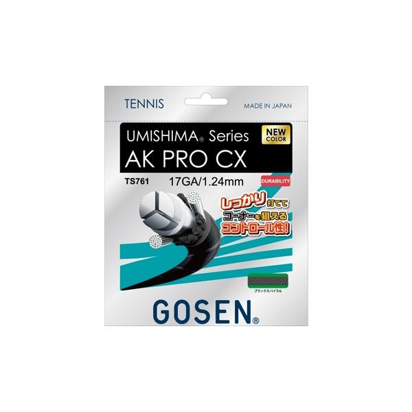 �y20%OFF�z�S�[�Z��(GOSEN)�X�g�����O�@�E�~�V�} AK PRO CX 17�@�V�F�u���b�N�X�p�C�����iTS761�j