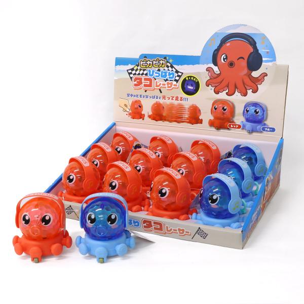 タカラガイ 標本 7個セット 【ヒメゴゼンソデ100ミリ・サービス ピカピカひっぱりタコレーサー 2色アソート 12個入りBOX 光るおもちゃ
