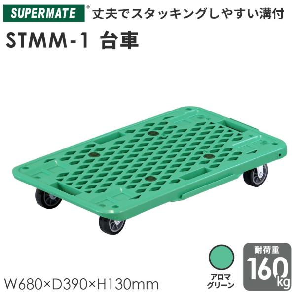 tenpojuki_sm-stmm1-agr