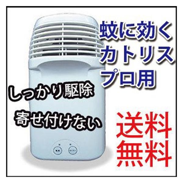 ɌJgXvp 1  Q쏜 ᐬp drt 