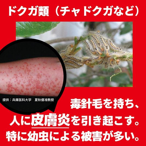 チャドクガ毒針毛固着剤 180ml 3本 ガーデニング 園芸用品 チャドクガ駆除 殺虫 茶毒蛾 Buyee Buyee 日本の通販商品 オークションの代理入札 代理購入