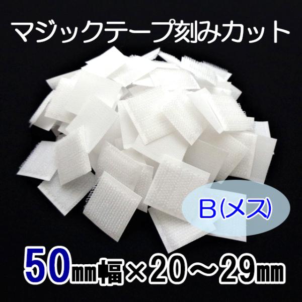 tenten-tent_17718t01