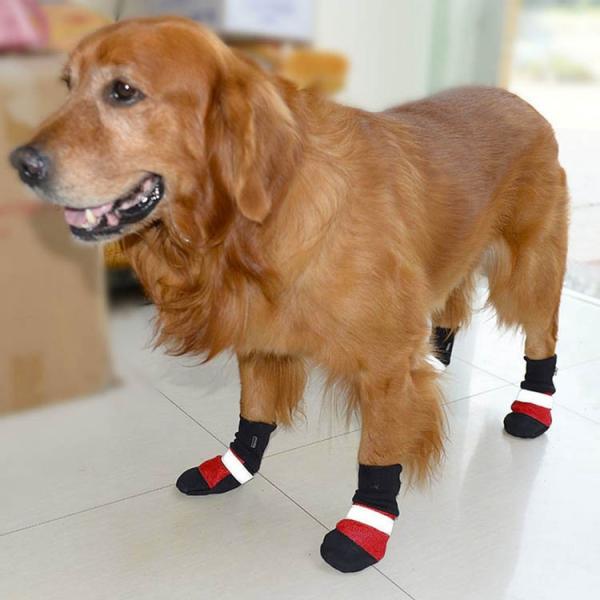 送料無料 犬靴 犬 シューズ 犬の靴 4足 犬 靴 シューズ 犬用 ワンちゃん わんちゃん ドッグシューズ 肉球保護 ペットグッズ ペット用品 小型犬 Buyee Buyee 日本の通販商品 オークションの代理入札 代理購入
