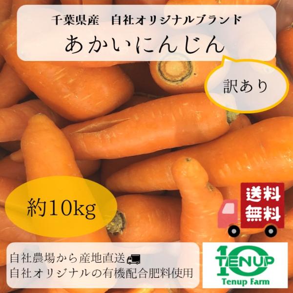 訳あり　にんじん　ニンジン　人参　千葉県産　自社農場　産地直送で新鮮　自社オリジナルの有機肥料で食味・栄養価アップ　約10kg　