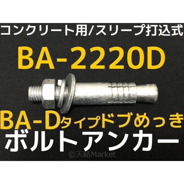 22 　ボルトアンカー サンコーテクノ ボルトアンカー BA-2220D M22 全長200mm 1本 ドブ