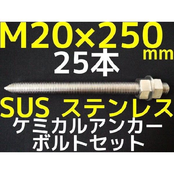 ケミカルボルト アンカーボルト ステンレス SUS M20×250mm 25本 寸切  