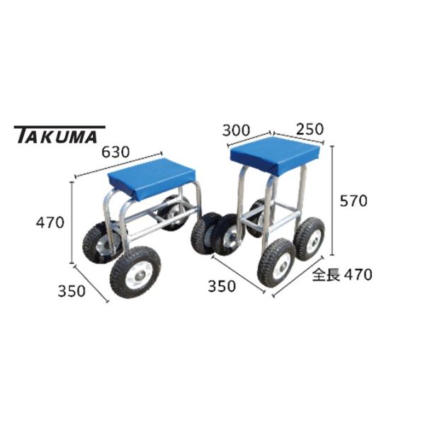 teoshiguruma_sw-a05