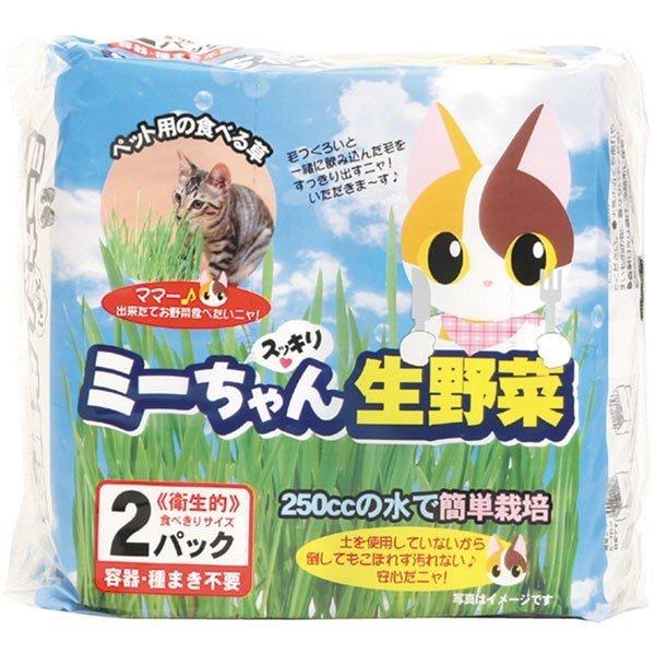 イデ紙業 ミーちゃん スッキリ 生野菜 2個パック 猫用 猫草 食べる草