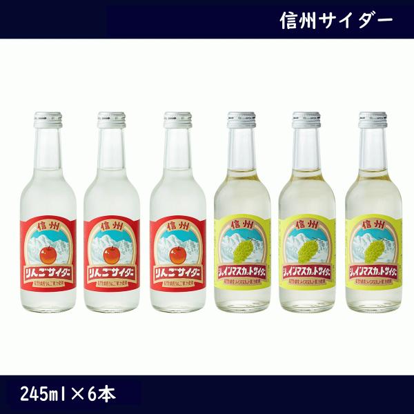信州サイダー　2種セット　りんごサイダー　シャインマスカットサイダー　245ml×6本　お土産　長野県　サイダー　甘さ控えめ　微炭酸　ジュース　