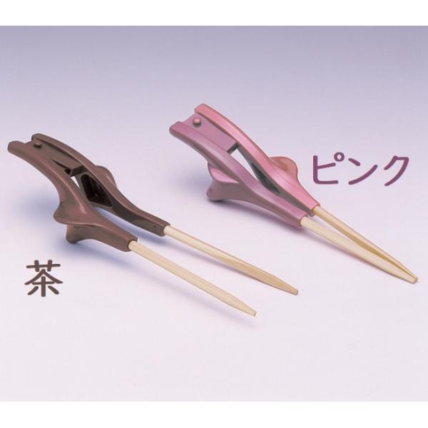 NA Ep p Obv傫 ECh S-12/13/14/15