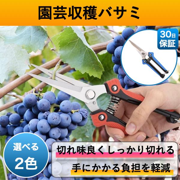 収穫バサミ 収穫ばさみ 収穫はさみ 収穫ハサミ 剪定ばさみ 収穫鋏 摘果 盆栽 芽切り はさみ ハサミ 庭 ガーデン 園芸