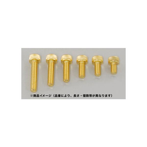 CFポッシュ C.F.POSH 24Kタンクキャップカバーボルトセット M5×8mm 2PCS / M5×16mm 3PCS 487805