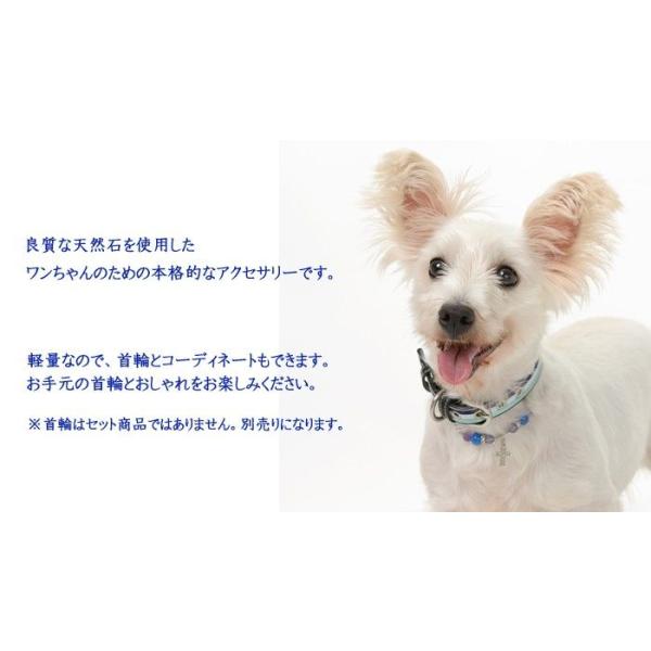 犬 首輪 おしゃれ 中型犬 小型犬 名前入り かわいい 犬首輪 犬 Acce 3 Buyee Buyee Japanese Proxy Service Buy From Japan Bot Online