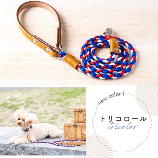 リード 犬 犬リード おしゃれ 中型犬 小型犬 パラコード かわいい 首輪 Pl 1 Buyee Buyee Jasa Perwakilan Pembelian Barang Online Di Jepang