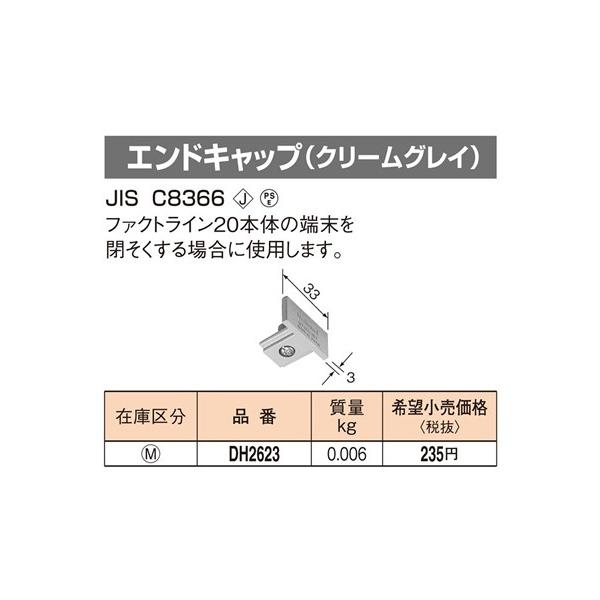 DH2623 �p�i�\�j�b�N �t�@�N�g���C��20�@�G���h�L���b�v�@�i�N���[���O���C�j