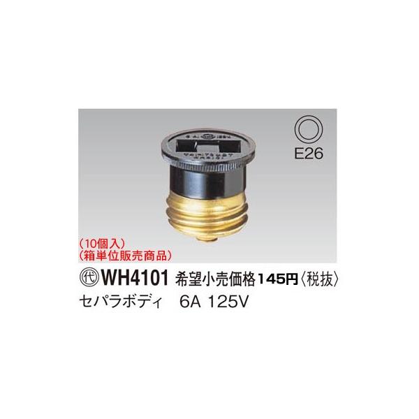 pi\jbN i10jiPʔ̔ijp[\izZp{fBWH4101