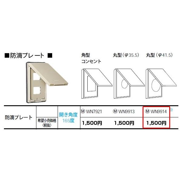 pi\jbN tJ[zEdޖhHv[giJMȂjiی^ 41.5pjWN9914