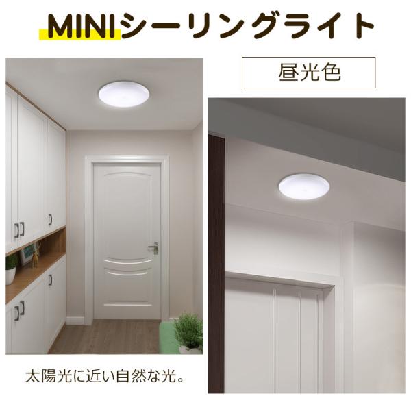 teruyukimall_gl-11i04_1_d_20241209153305