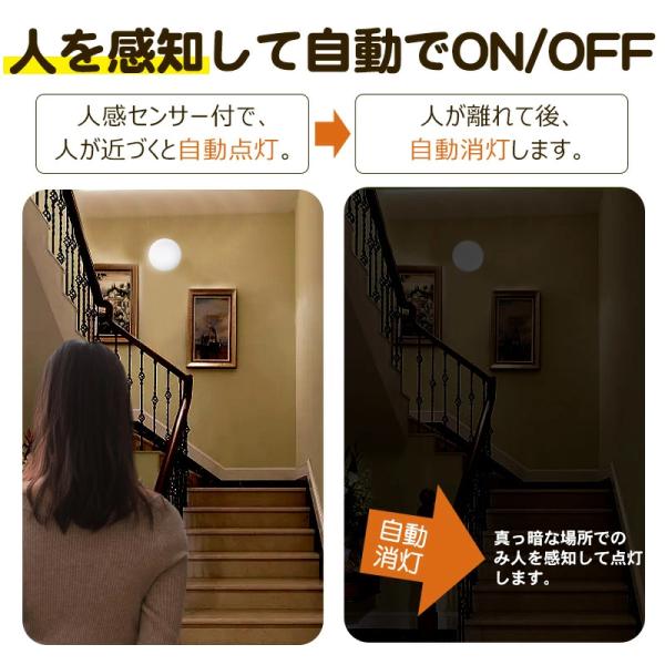 teruyukimall_gl-11i04_4_d_20250817095858