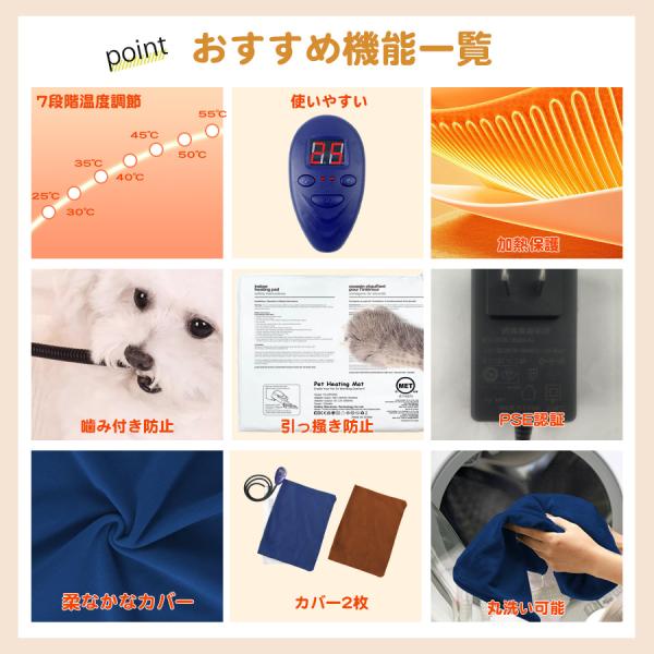 teruyukimall_pet-6226_1_d_20251021210033