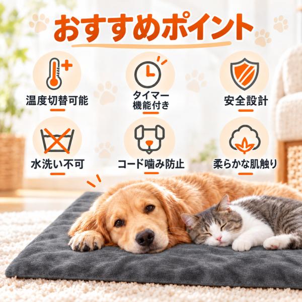 teruyukimall_pet-6226_2_d_20261009153749