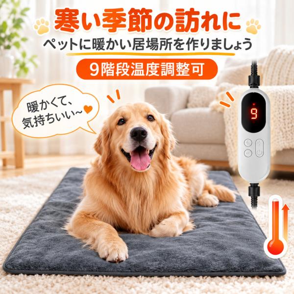 teruyukimall_pet-6226_3_d_20261009153801