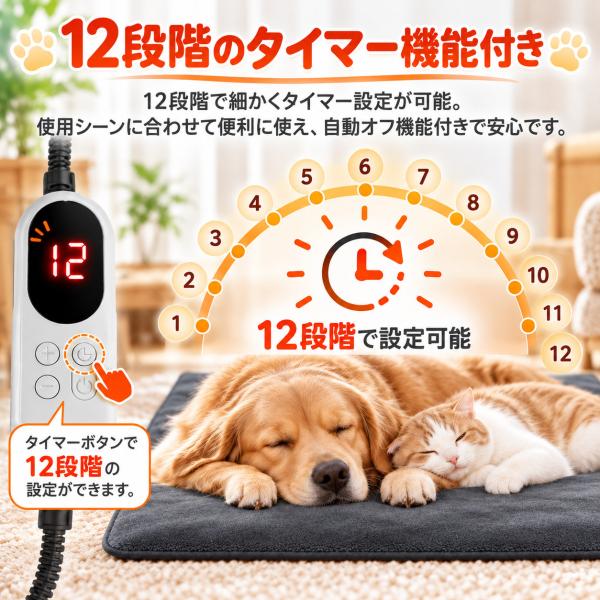 teruyukimall_pet-6226_4_d_20261009153805