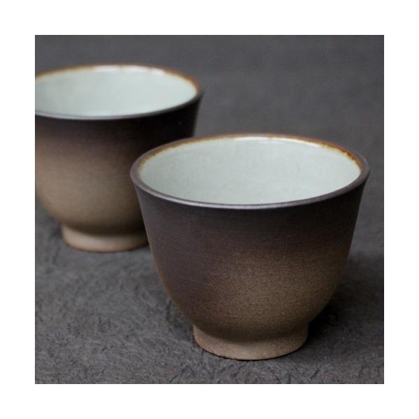 q 2Zbg 100cc×2 q  ݌Ï ls {