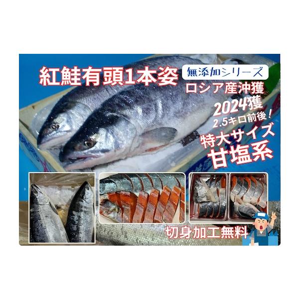 北洋ロシア産千島沖獲紅鮭（2,5キロ位）2024年物　大サイズ　無添加シリーズ沖獲紅鮭原料を丘に上げてから塩蔵した商品となり甘塩系紅鮭です地元ではご贈答に好評です、お客様のご希望で切身加工で発送も可能です無添加だから安心！食物アレルギーが心...