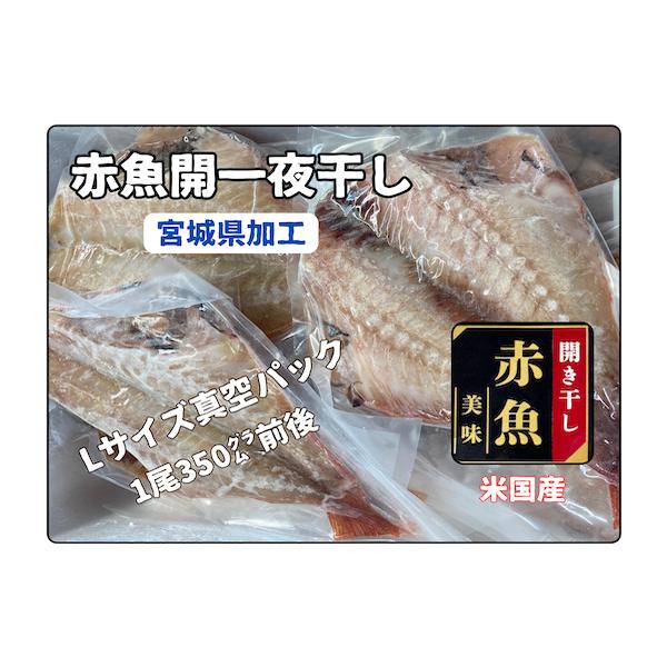 赤魚開き干し真空パックLサイズ（米国産）宮城県加工　１尾バラ売り